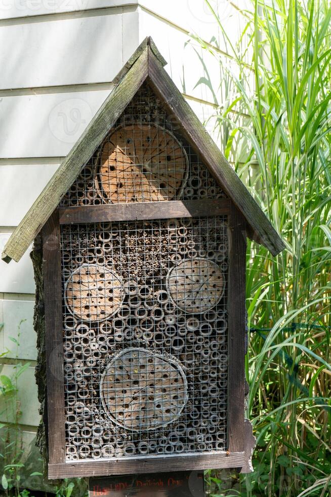 House for insects. A box made of bark, straw and stones. Bricks, cones and bamboo for the insect to settle there. Home for wild bees. Eco friendly do-it-yourself craft. Idea for a garden. DIY photo