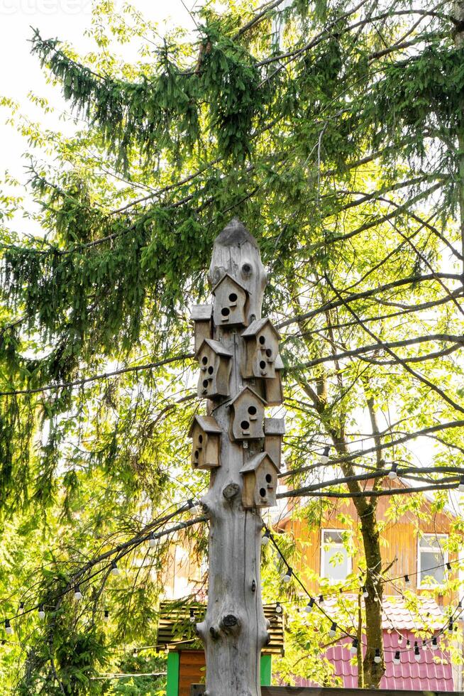 Birdhouse on a tree photo