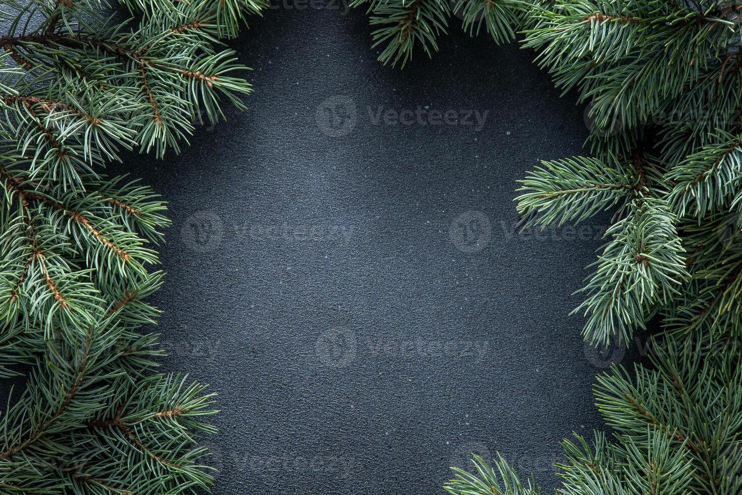 Green tree branches. Christmas natural background copy space. photo