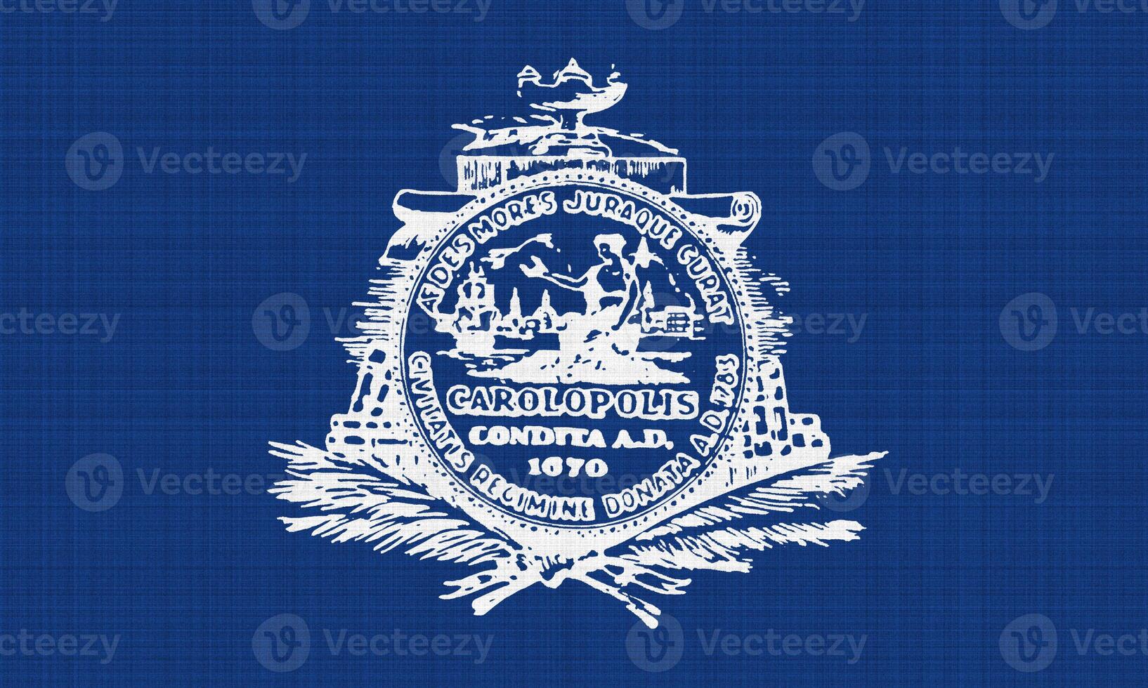 Flag of the city of Charleston, South Carolina, USA, on a background of fabric texture. Conceptual collage photo