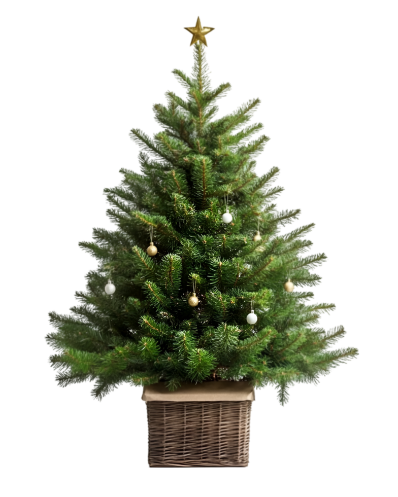 A small christmas tree in a basket png