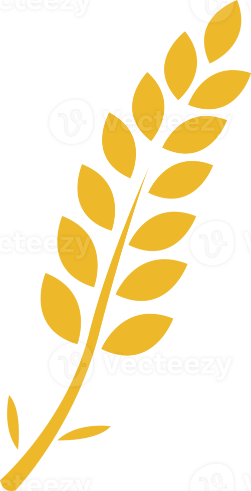 Rice Wheat cereal graphic element flat icon illustration design png