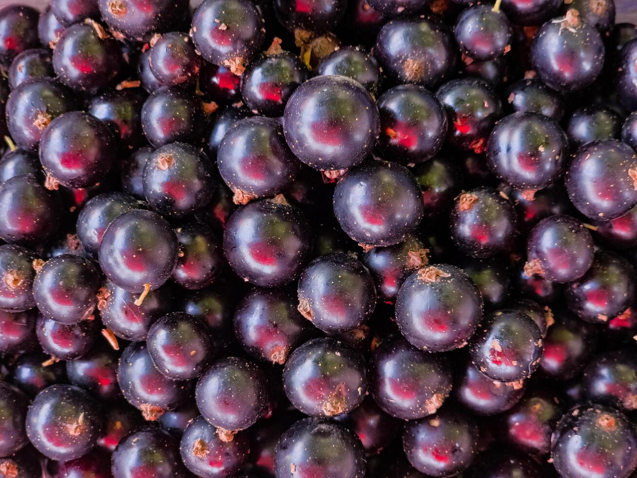 Fresh black currant as background, top view. Black currant texture. Close-up photo