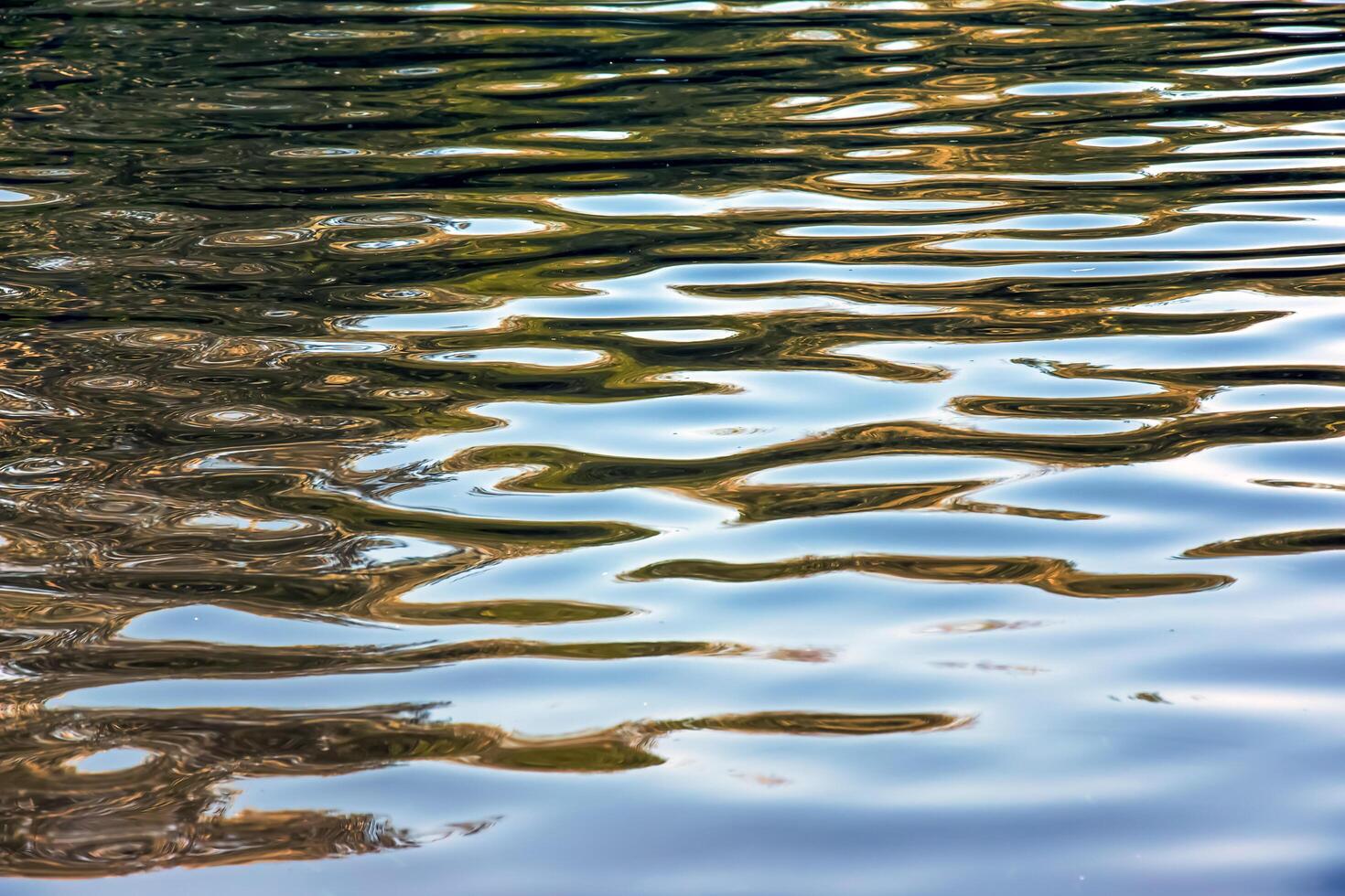 Water ripple texture background. Wavy water surface during sunset, golden light reflecting in the water. Dark background photo