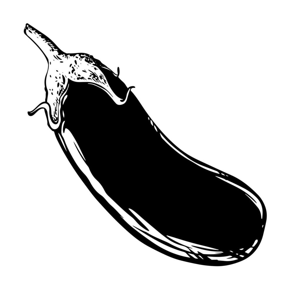 Eggplant sketch in black ink. Hand drawn vegetable on white background. aubergine illustration in engraving style. vector