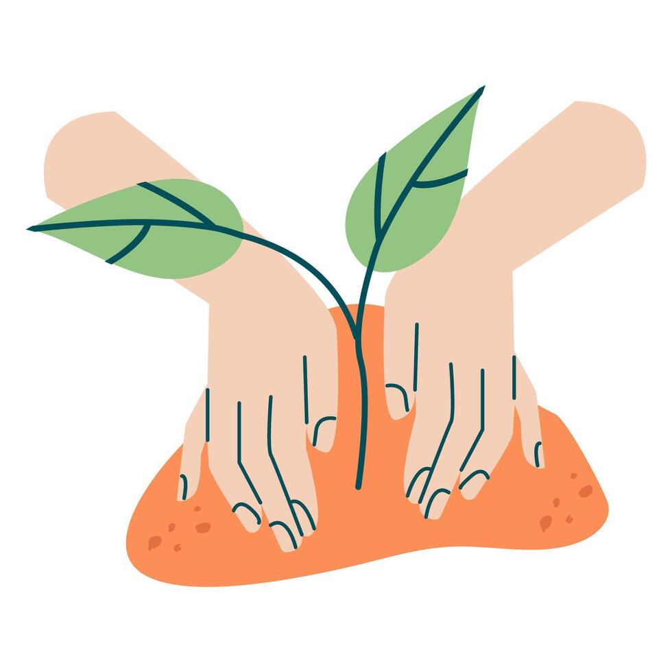 Eco friendly hands and sapling isolated vector