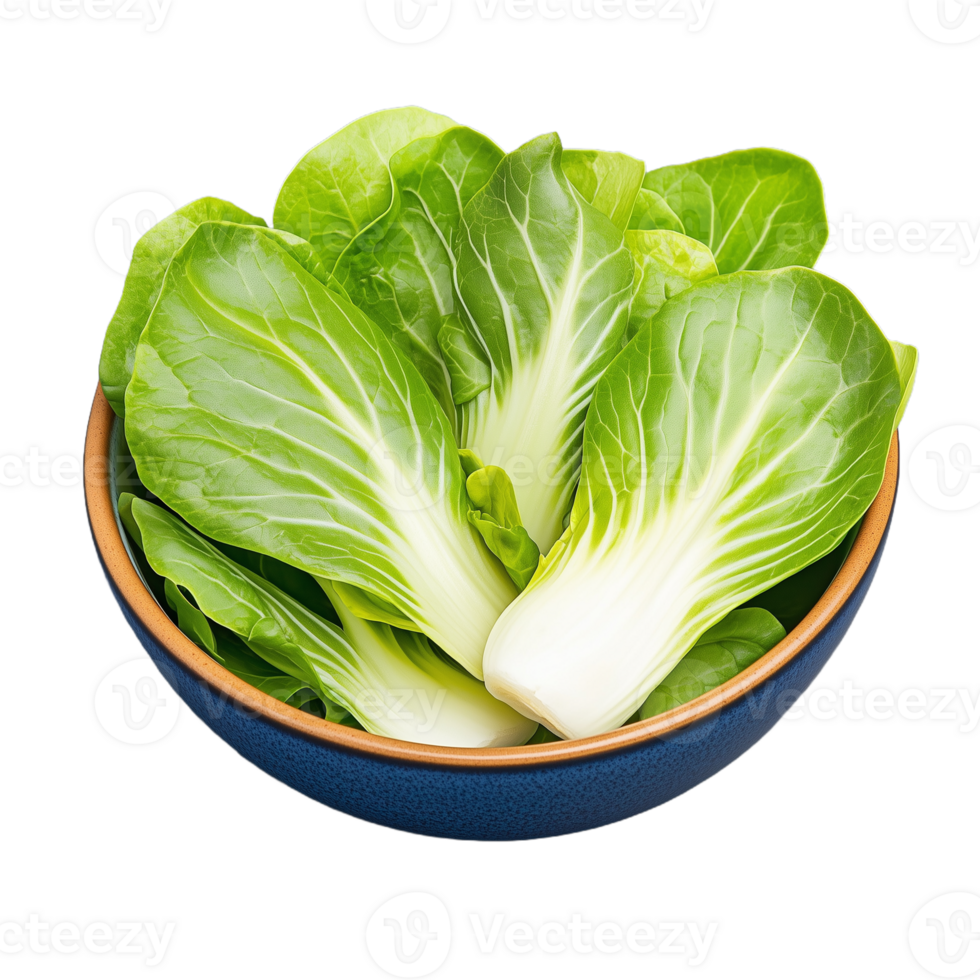 Crisp bok choy leaves arranged neatly in a deep blue bowl, perfect for enhancing salads or stir-fries during meal prep png