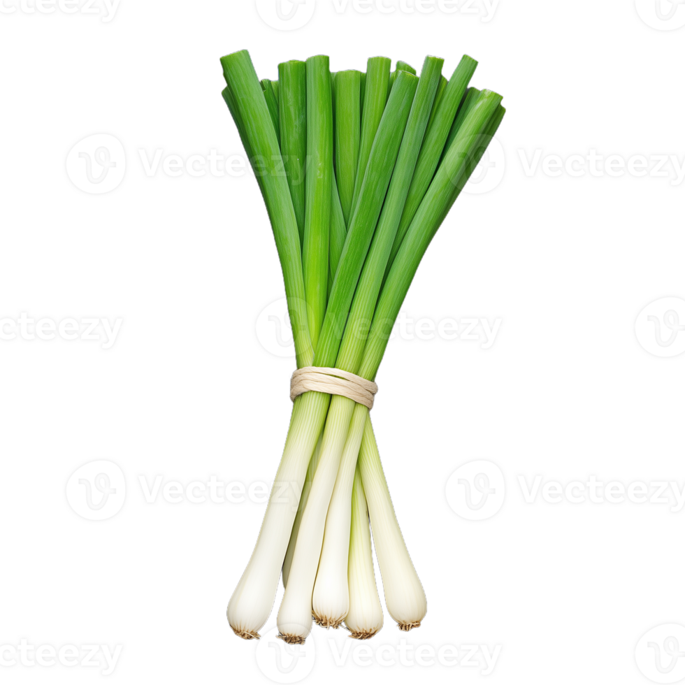A bunch of vibrant green onions is bound together with a string, showcasing their freshness and suitability for diverse recipes png