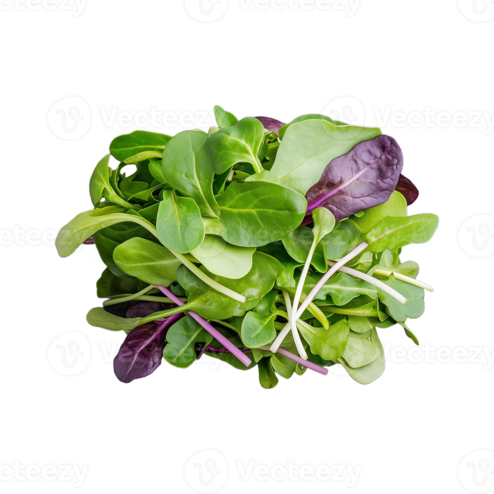 A vibrant assortment of fresh mixed greens is prepared for a healthy salad, showcasing rich colors and textures in a kitchen setting png