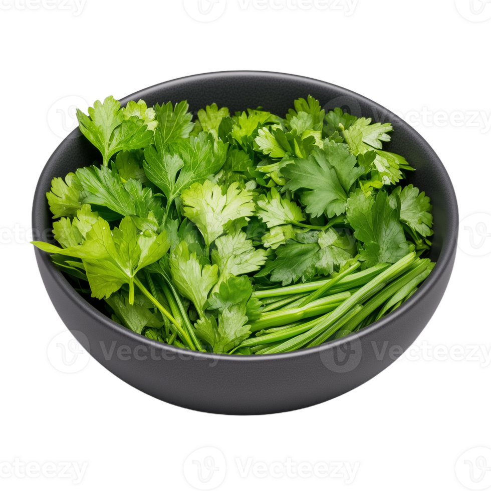 A bowl filled with vibrant cilantro leaves placed on a kitchen surface, perfect for enhancing flavors in various recipes png