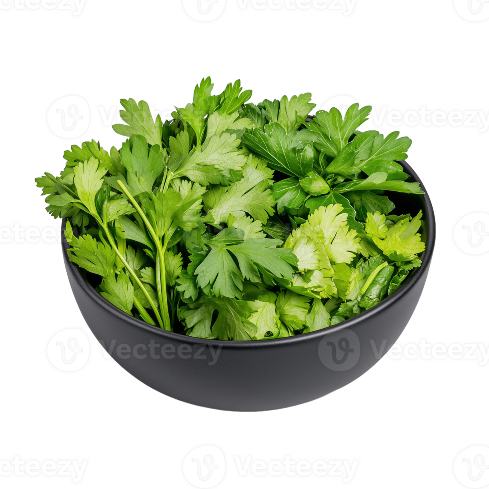A generous serving of vibrant, green cilantro leaves displayed in a sleek black bowl, ideal for garnishing meals png