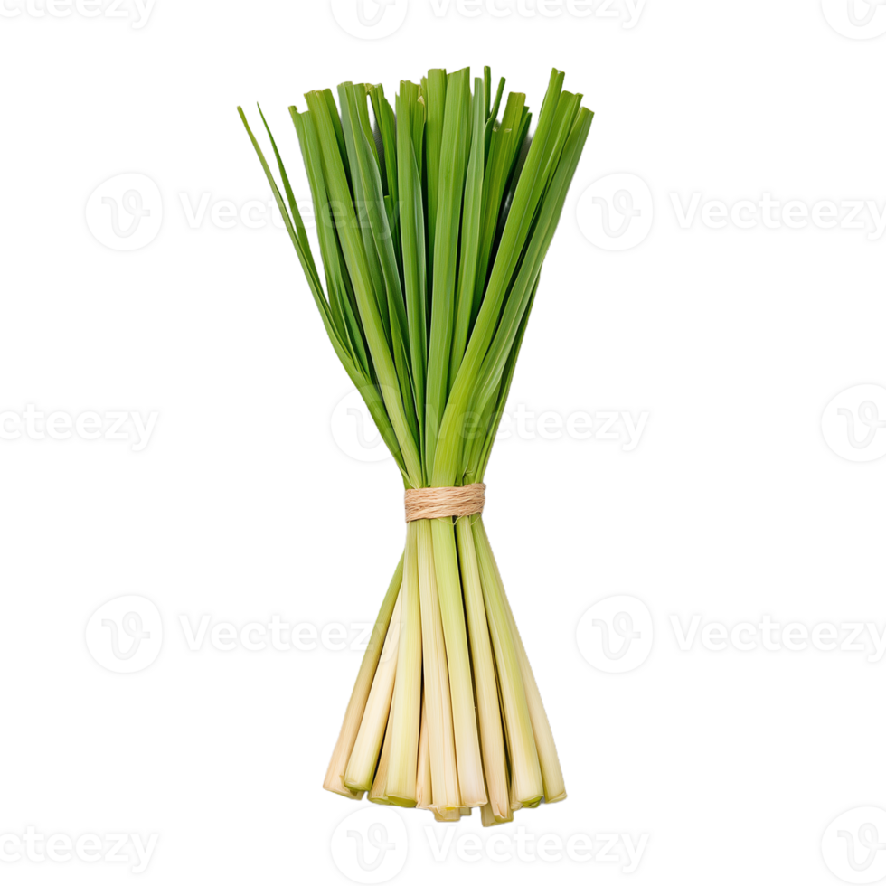 A bunch of freshly cut lemongrass with long green stalks, ideal for cooking, herbal remedies, or gardening applications png