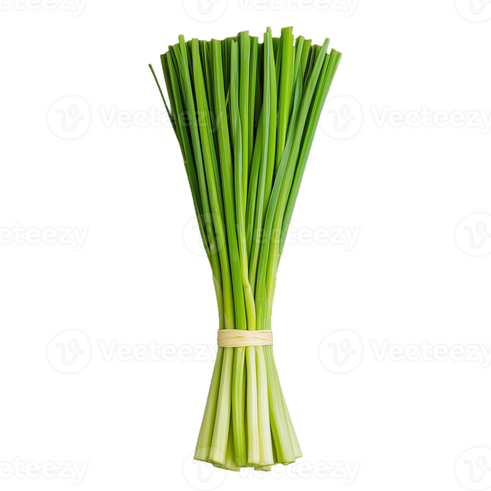 A bunch of freshly harvested green onions with vibrant green leaves and crisp white bases, perfect for enhancing dishes png