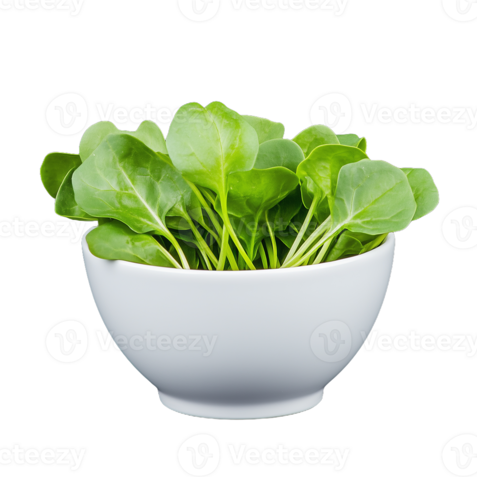 A bowl filled with fresh green salad leaves stands out, perfect for enhancing nutritious dishes and adding flavor to meals png