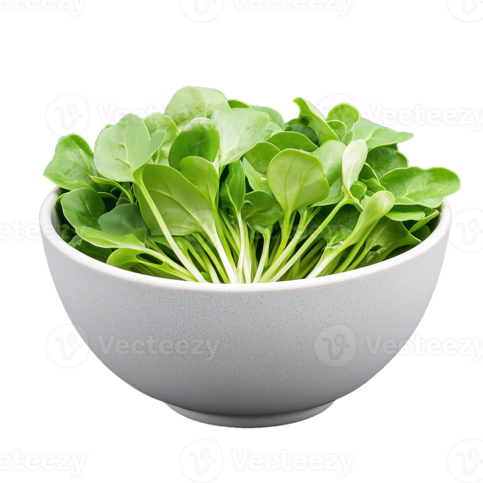 A bowl filled with vibrant green salad leaves, perfect for adding freshness to various dishes and promoting healthy eating habits png