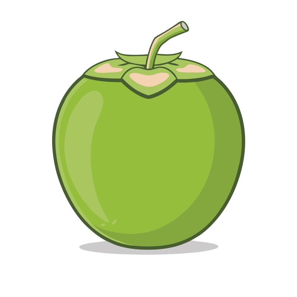 Tropical Green Coconut and Drinking Coconut Flat Color Illustration vector