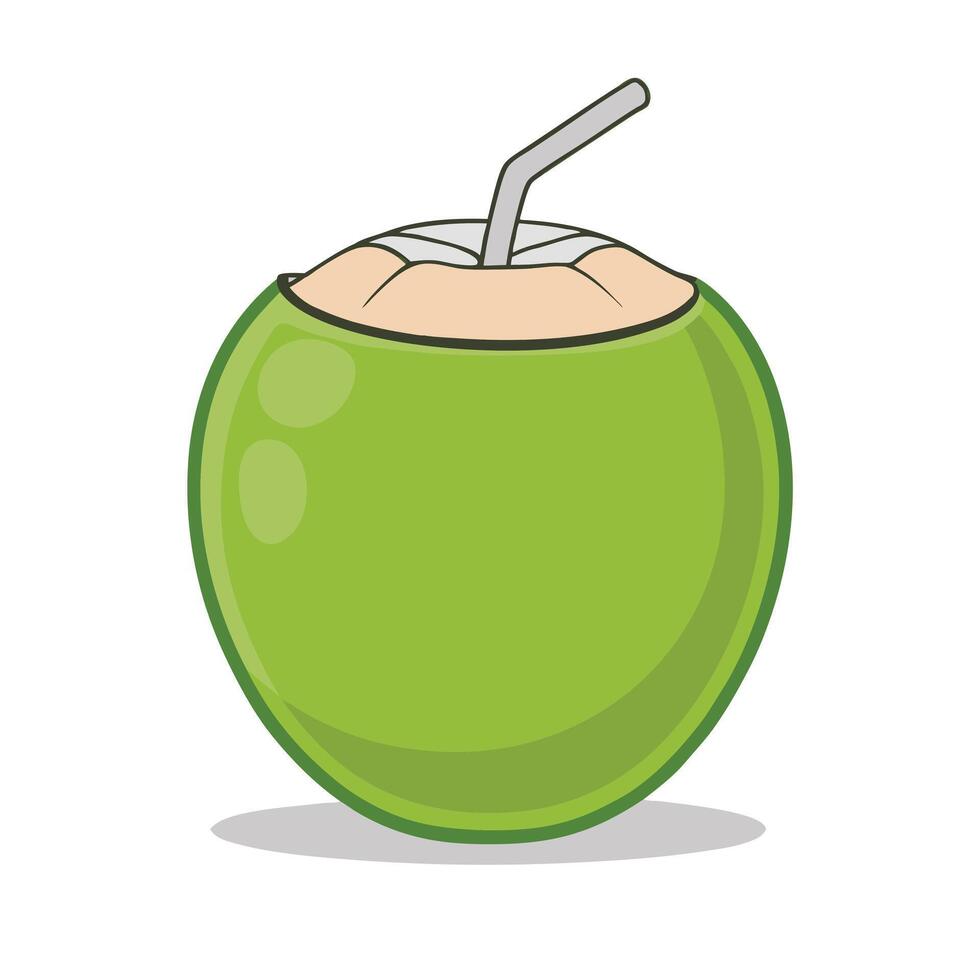 Whole and Open Fresh Green Coconut Illustration in Flat Color vector