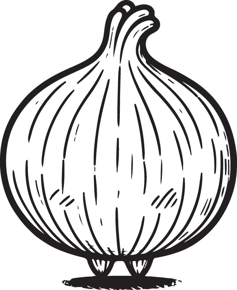 onion isolated on white background vector
