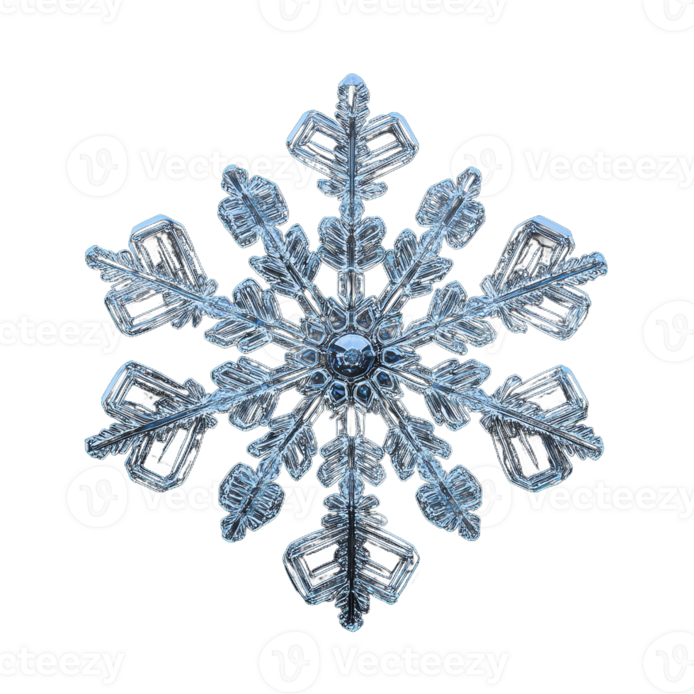 Realistic photo of a single snowflake with frosty details on a transparent background png