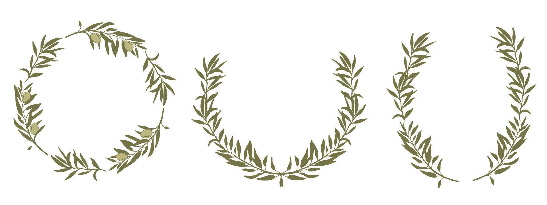 Set of Olive Wreaths. Hand drawn colored isolated Botanical illustration. Can be used for cards, emblem, logos and food design. vector