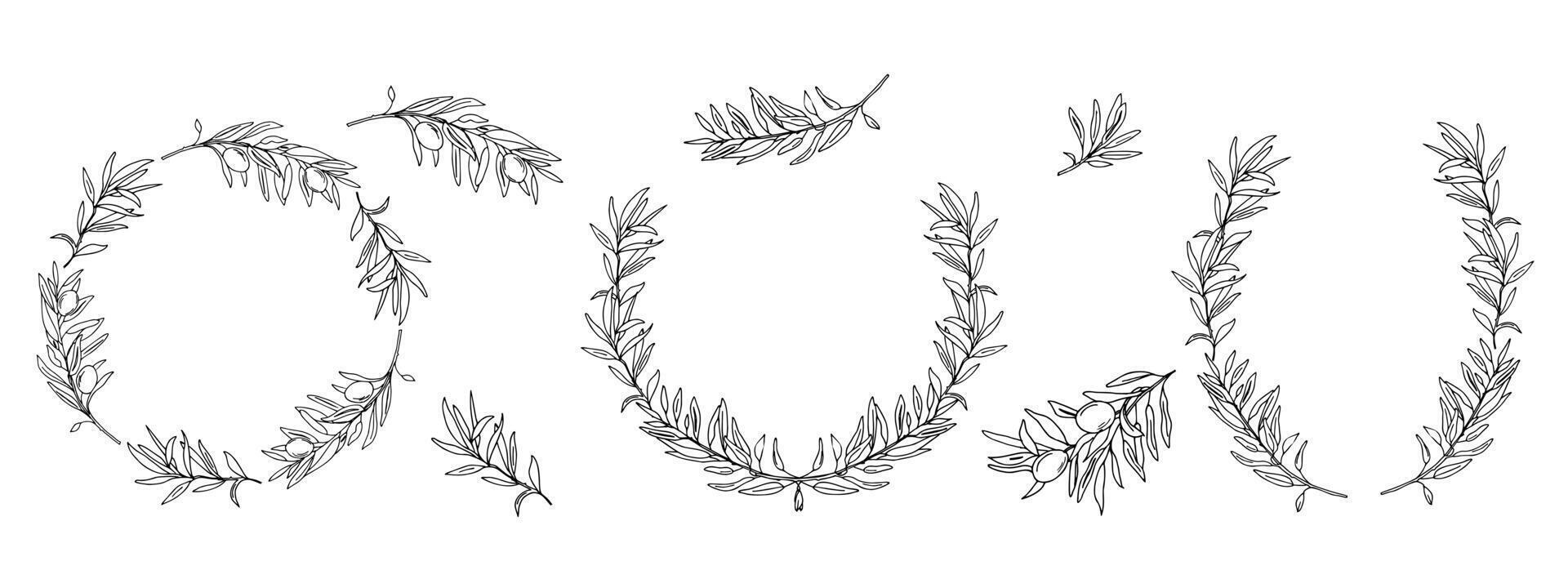 Set of Olive Wreaths and Branches. Hand drawn ink isolated Botanical illustration. Can be used for cards, emblem, logos and food design. vector