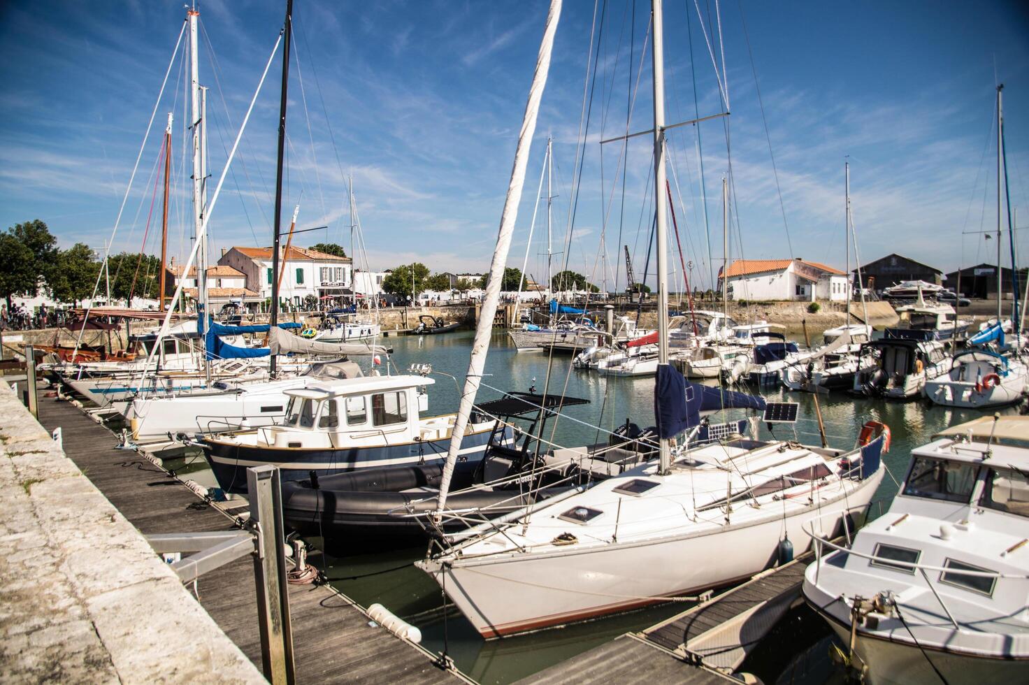 Charente Maritime landscape of the Ile de Re photo