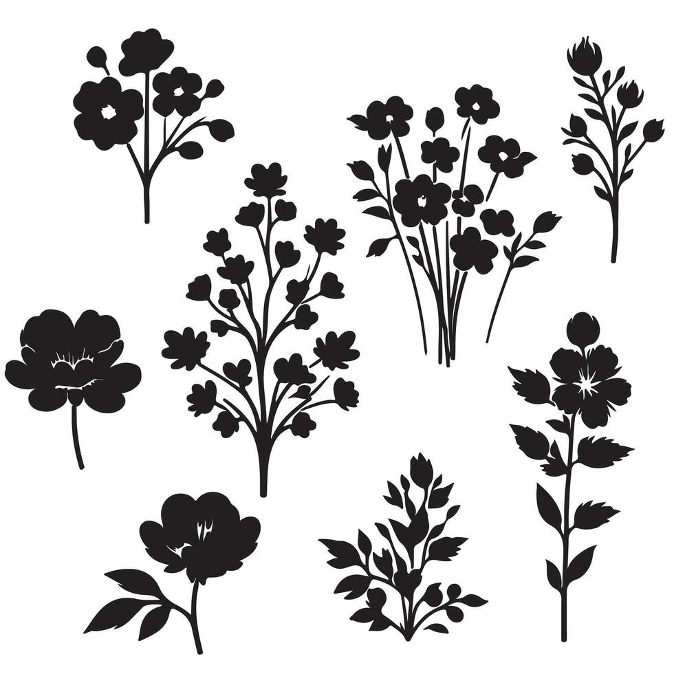 Silhouettes of blooming flowers set with white background vector