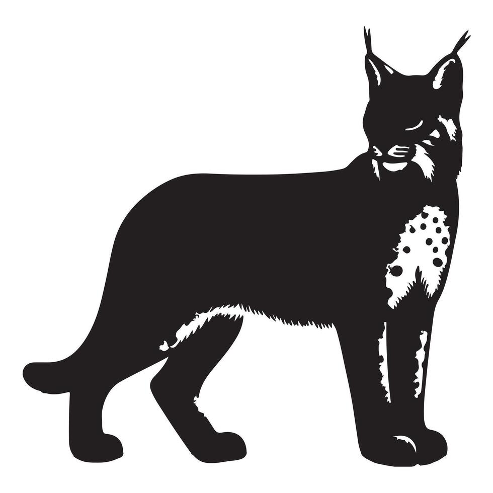 bobcat silhouette on white background vector