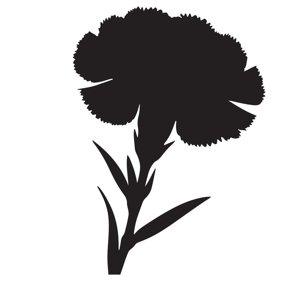 black Carnation flower silhouette with white background vector