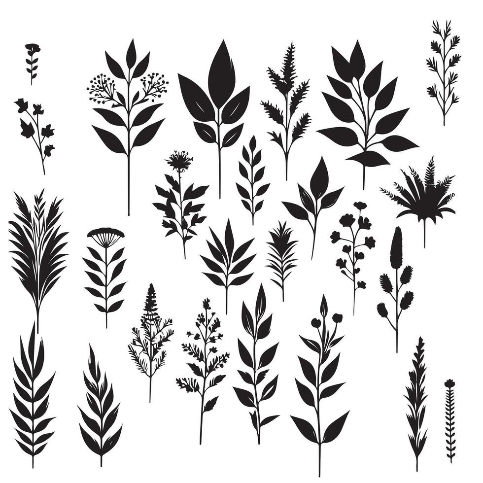 Silhouettes of plants set with white background vector