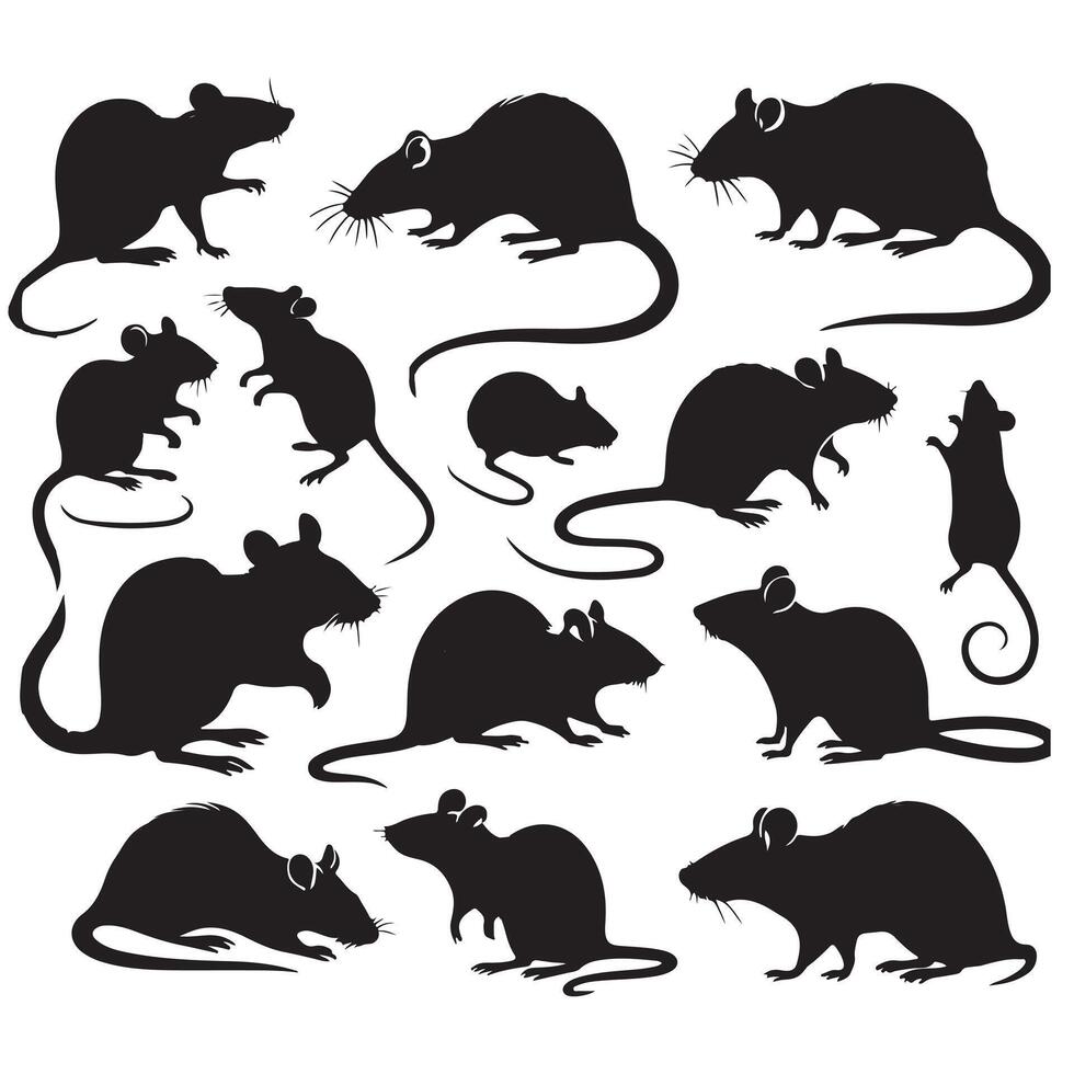Rat and mouse collection silhouette on white background vector