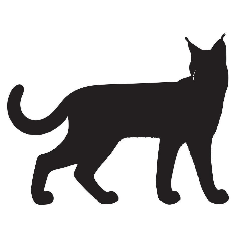 bobcat silhouette on white background vector