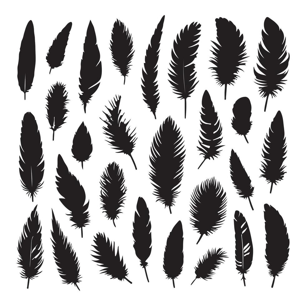 bird feather, collection silhouette on a white background vector
