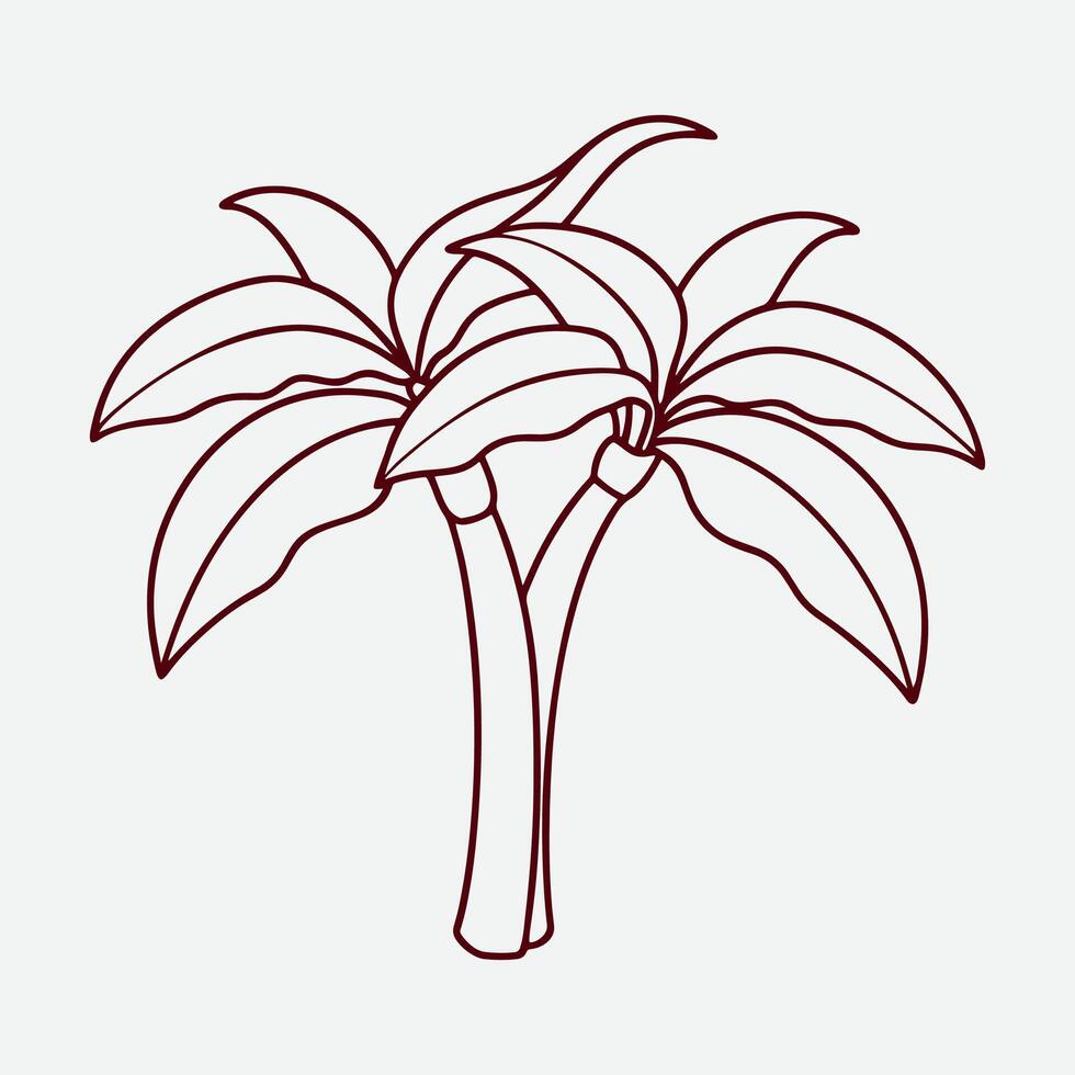 Detailed Banana Tree Illustration for Botanical Artwork vector