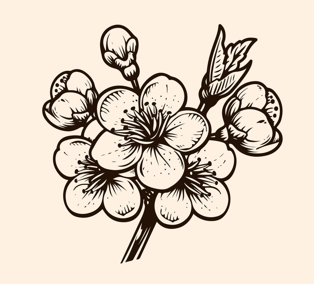 Hand drawn branch of sakura with blooms, flowers, leaves, petals. Modern line art style. Botanical composition for card, invitation, logo, fabric print, packaging. vector