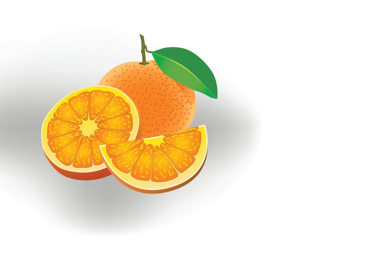 Orange fruit copy-space illustration for background design. vector