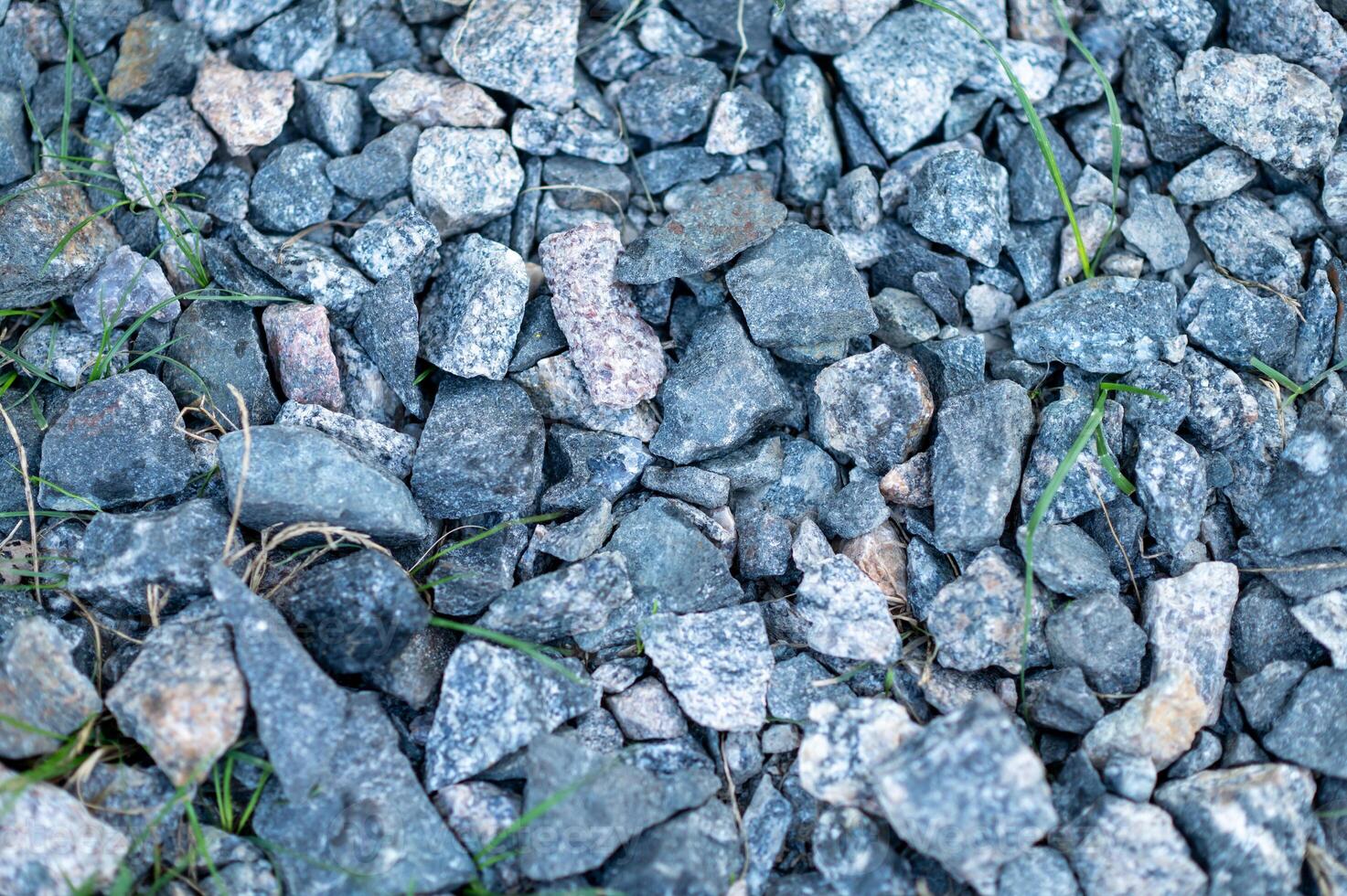 Gravel background with green grass in the garden. Selective focus. photo