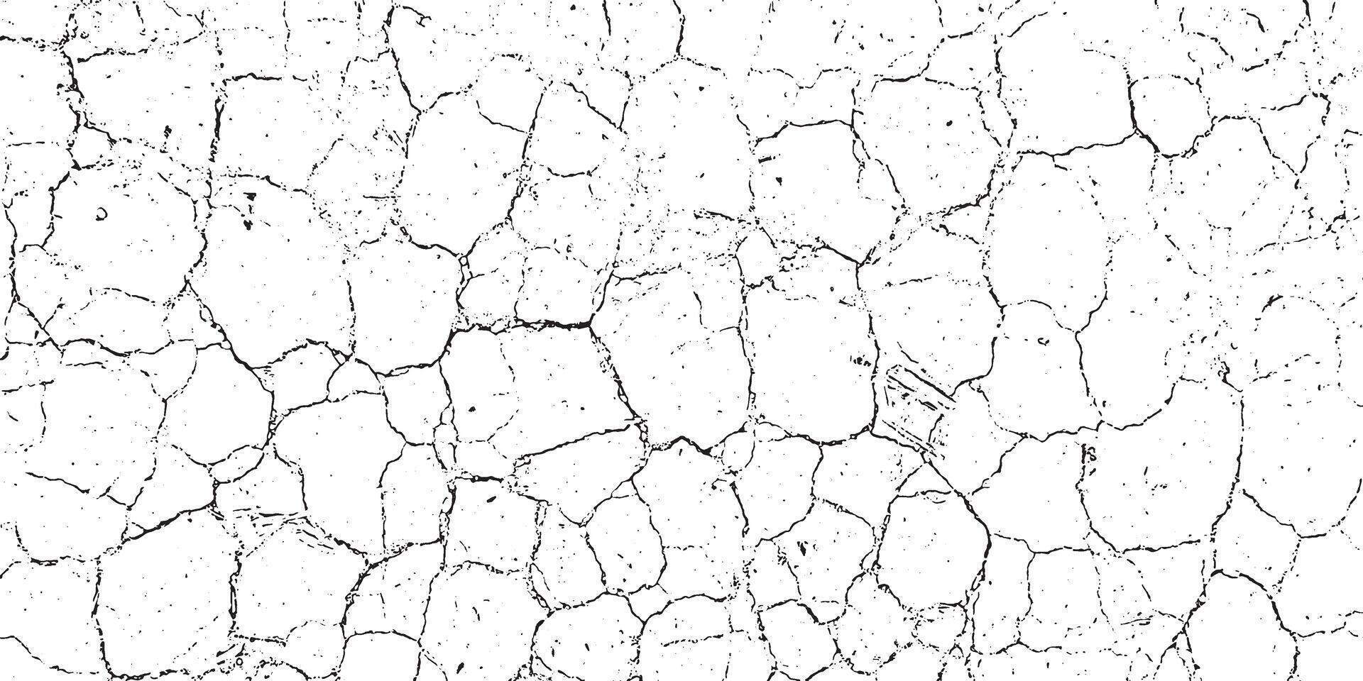 a white and black background with cracks, a black and white grunge texture of a cracked wall, cracked concrete of grunge texture background with cracks, a white textured background vector