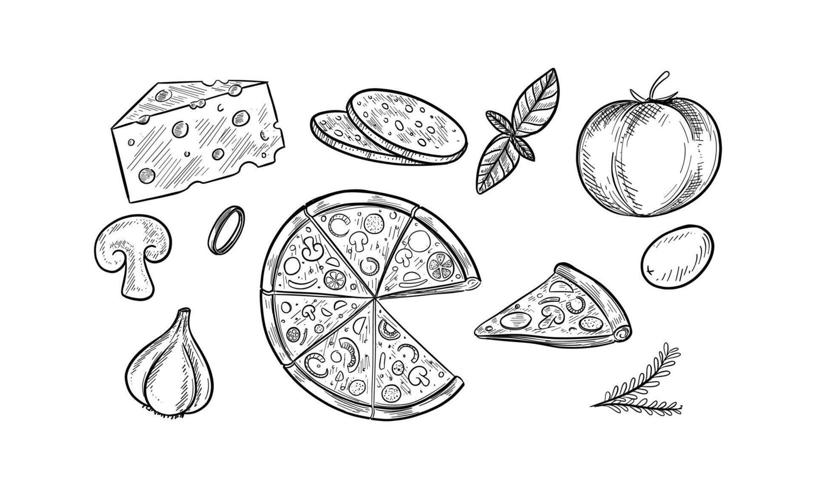 Hand-Drawn Sketch of Pizza and Ingredients vector