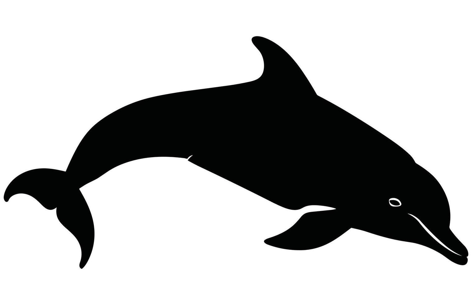 Dolphin Silhouette in black isolated on white background. vector