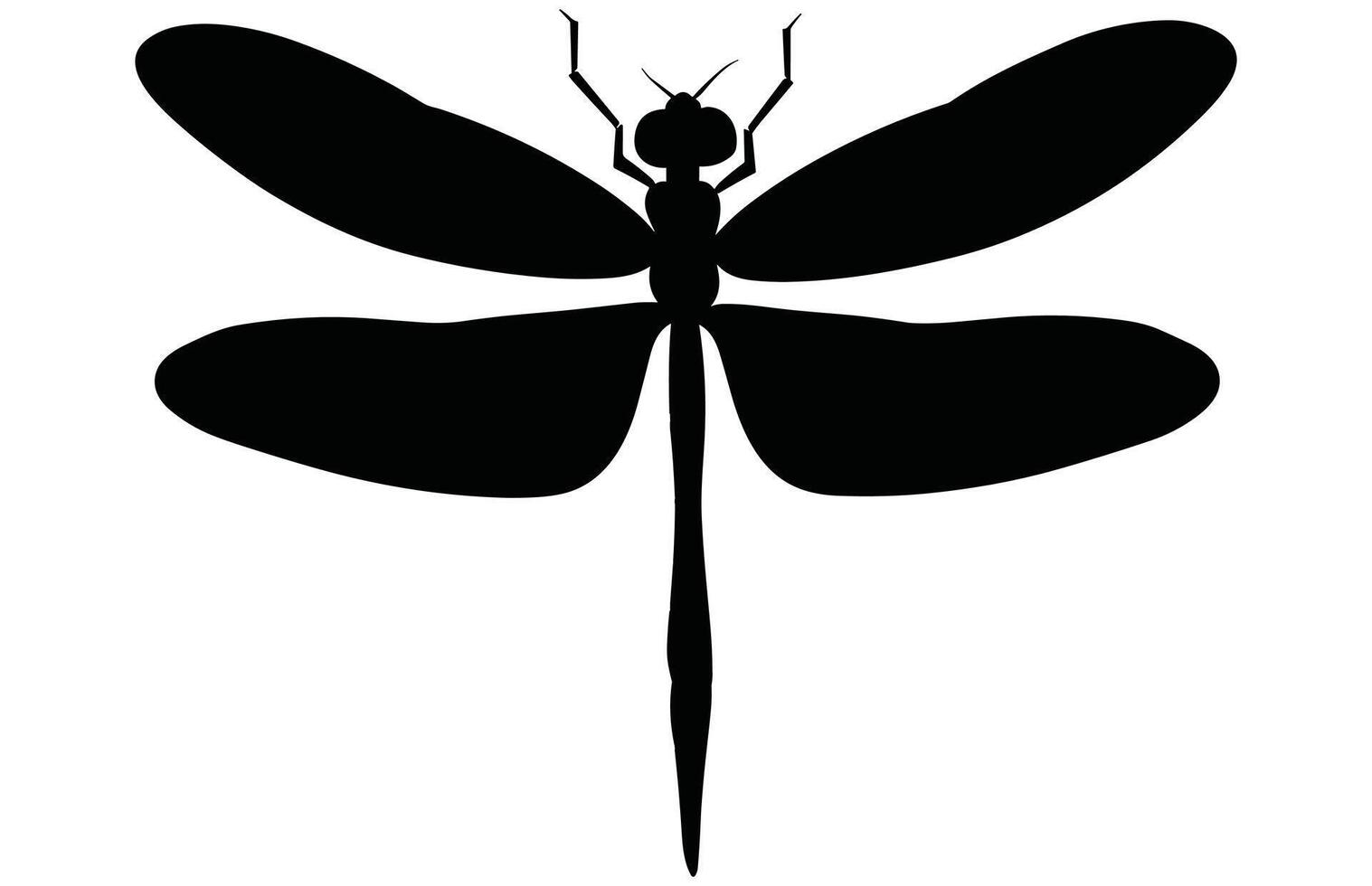Dragonfly Silhouette Elegant Insect Stock Illustration, Delicate Winged Insect. vector