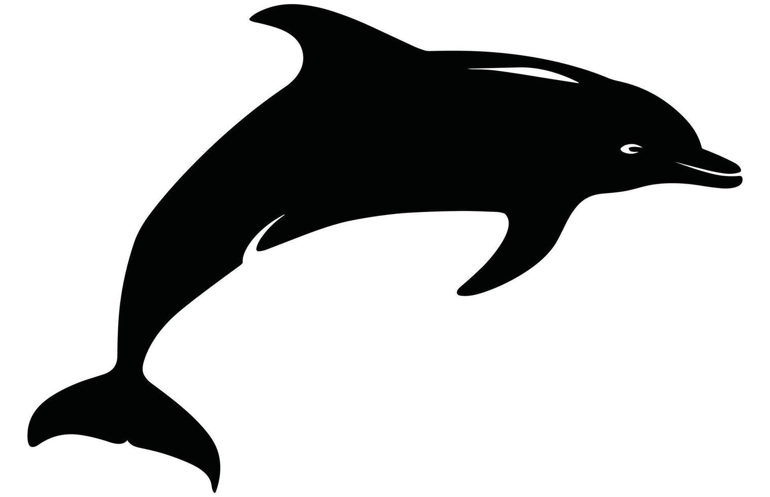Elegant Ocean Creature Dolphin Stock Design vector