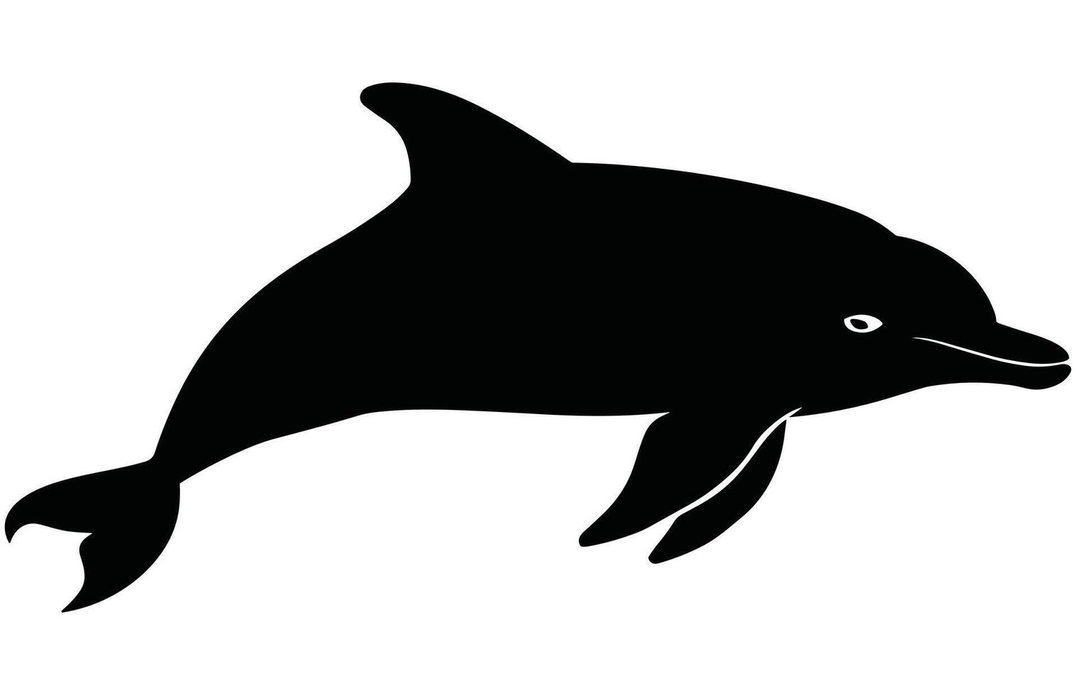 Dolphin-Graceful Marine Animal Stock Illustration vector