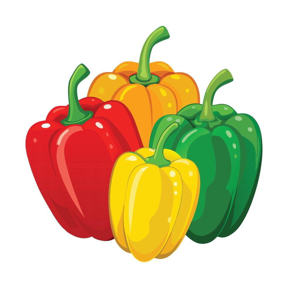 Detailed Bell Pepper Graphic Illustration on White Background vector