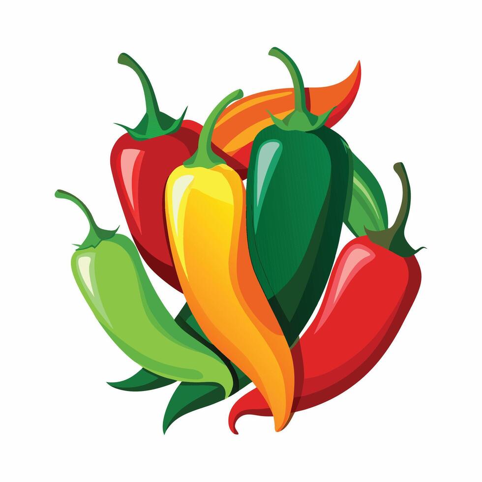 Detailed Chili Peppers Graphic Illustration on White Background vector