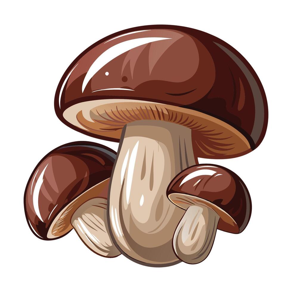 Detailed Portobello Mushroom Illustration White Background vector