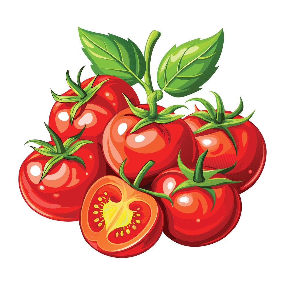 Detailed Cherry Tomato Graphic Illustration on White Background vector