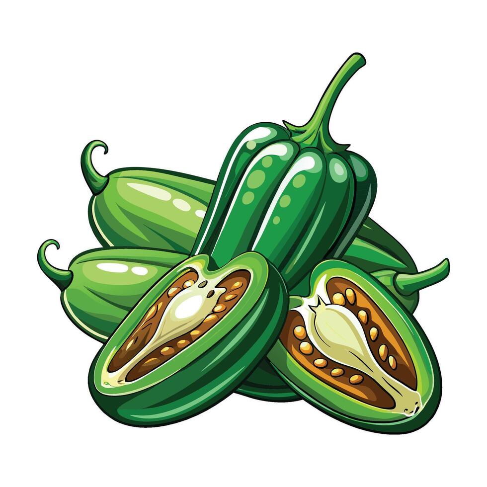 Detailed Jalapeno Graphic Illustration on White Background vector