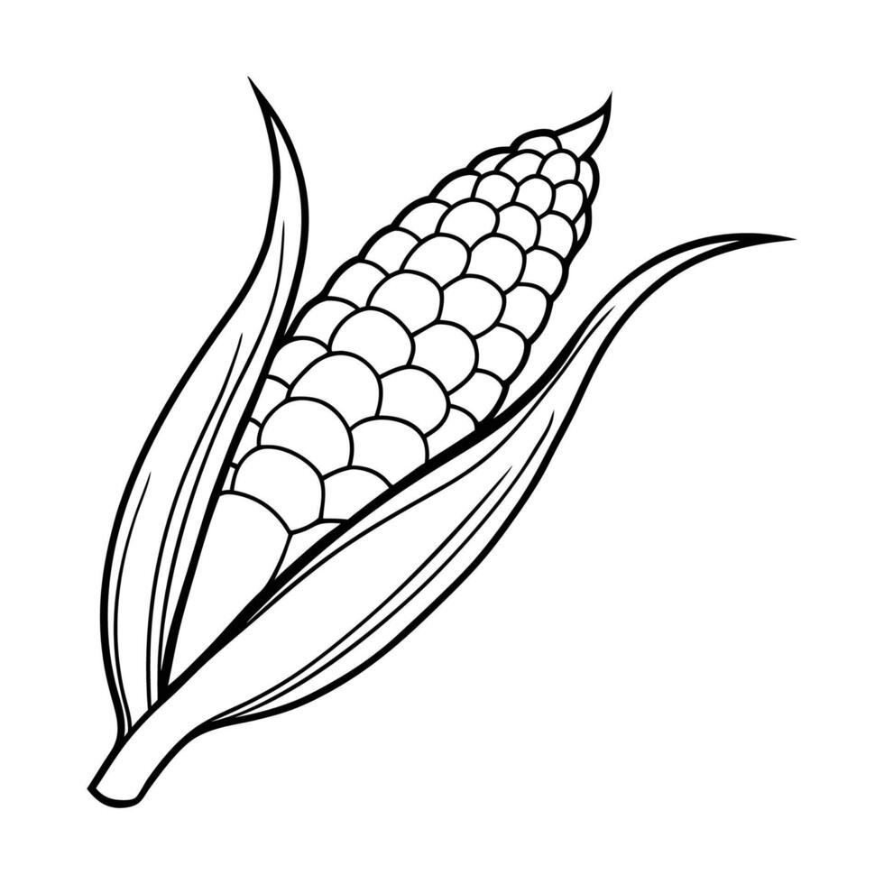 Corn Outline Illustration on White Background vector