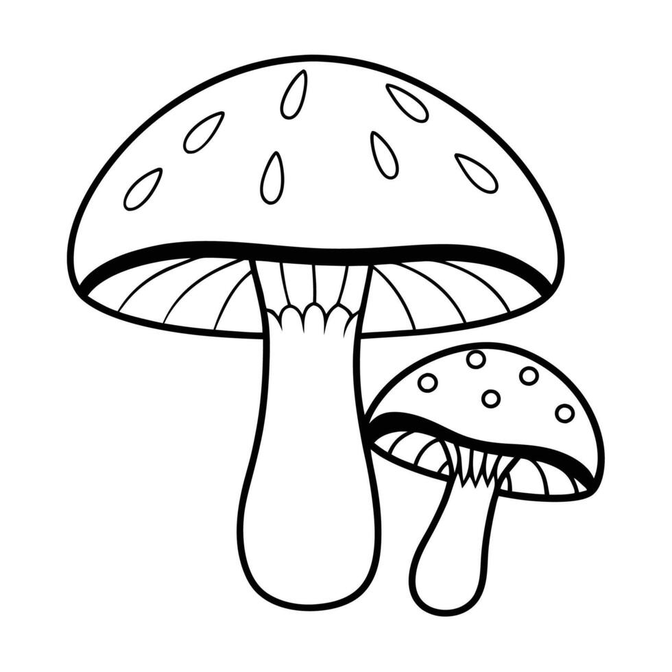 Shiitake Mushrooms Outline Illustration on White Background vector
